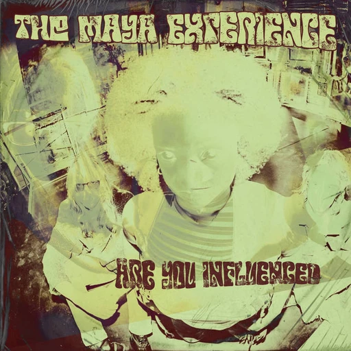 The Maya Experience – Are You Influenced? (cover art)